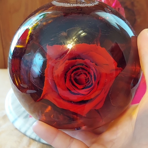 Forever Rose - Picture 5 of 11